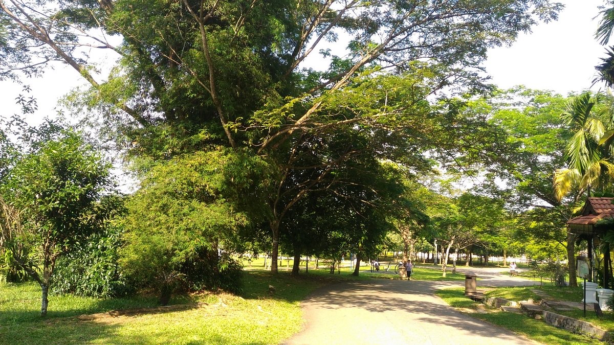 Hutan Bandar MBIP in Skudai